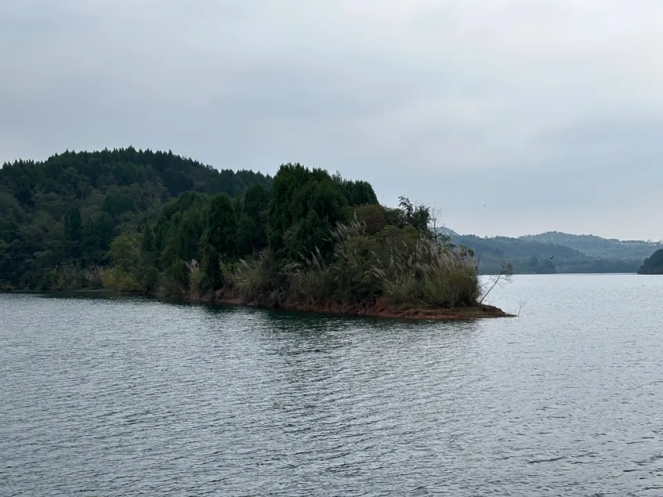 A forested island in a calm lake under an overcast sky.