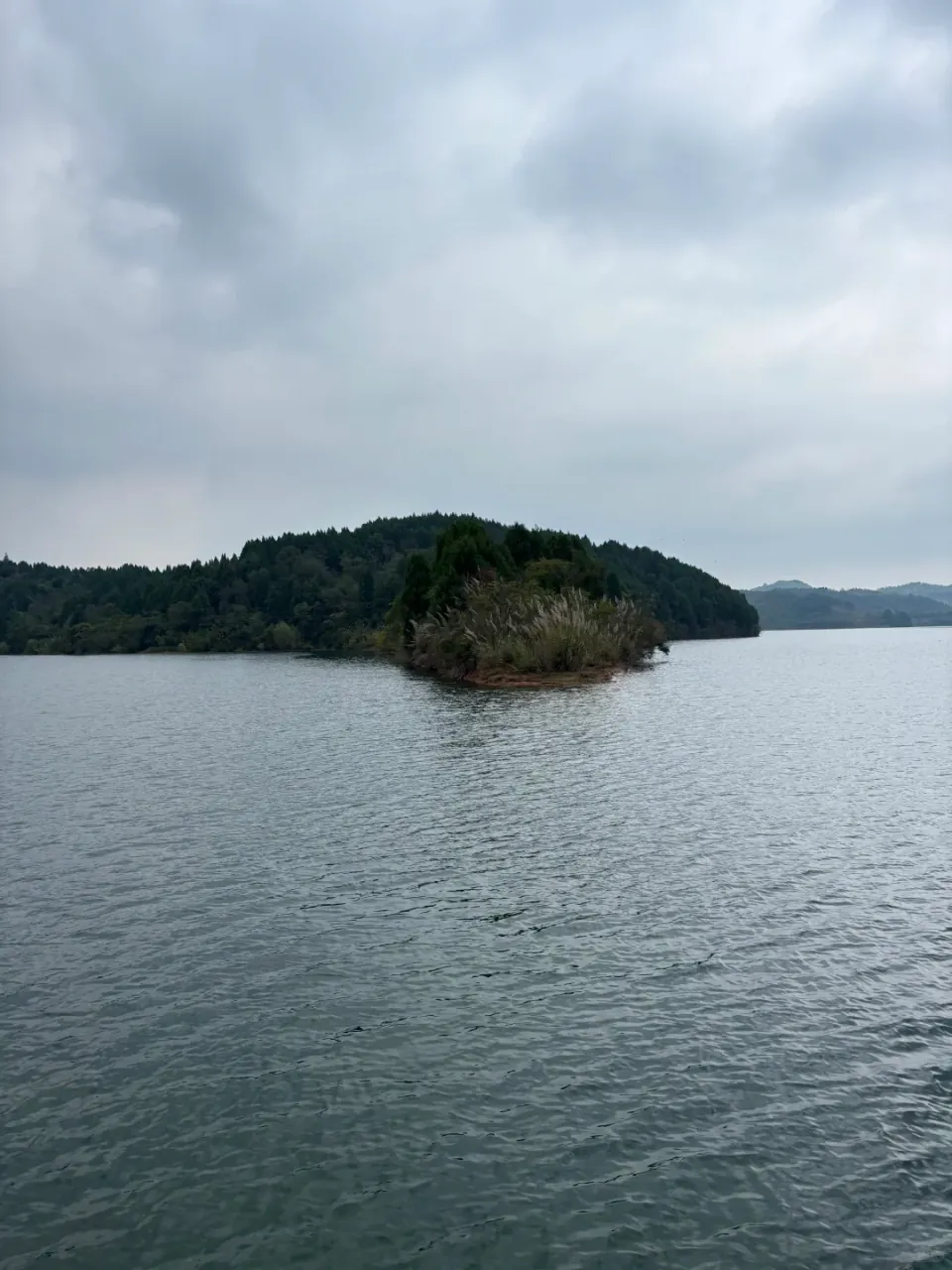 A small wooded island in a grey lake.