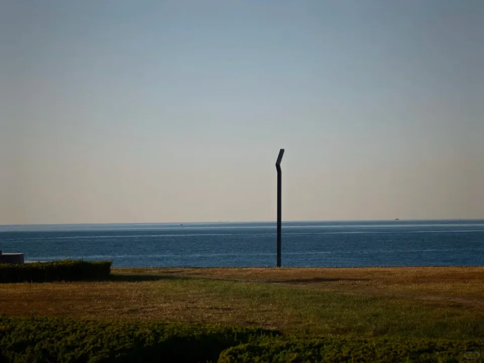 A quiet blue sea beyond a grassy waterfront and a single lamp post.
