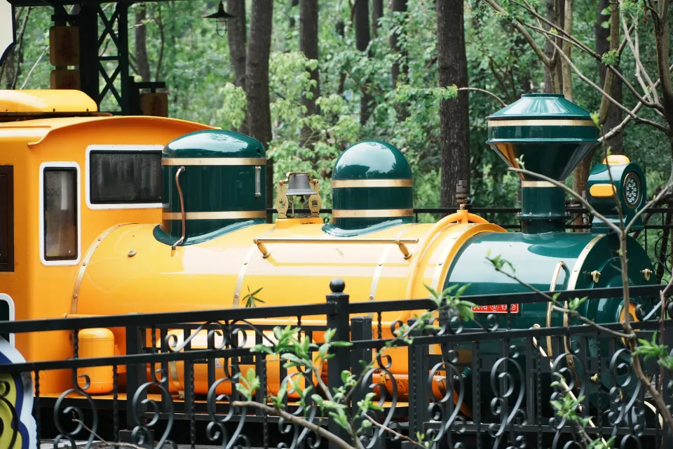 A green and yellow sightseeing train surrounded by forest.