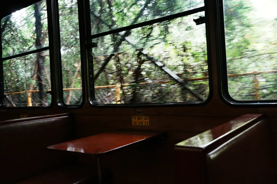 Trees streaking past the wooden interior of the moving train.