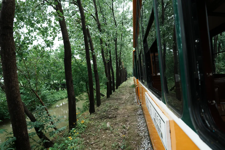 The train traveling beside a narrow forest waterway.