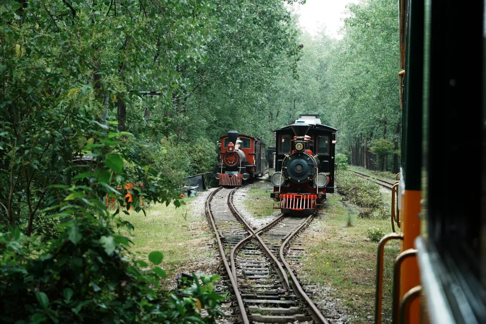 Two sightseeing trains meeting at a forest railway junction.