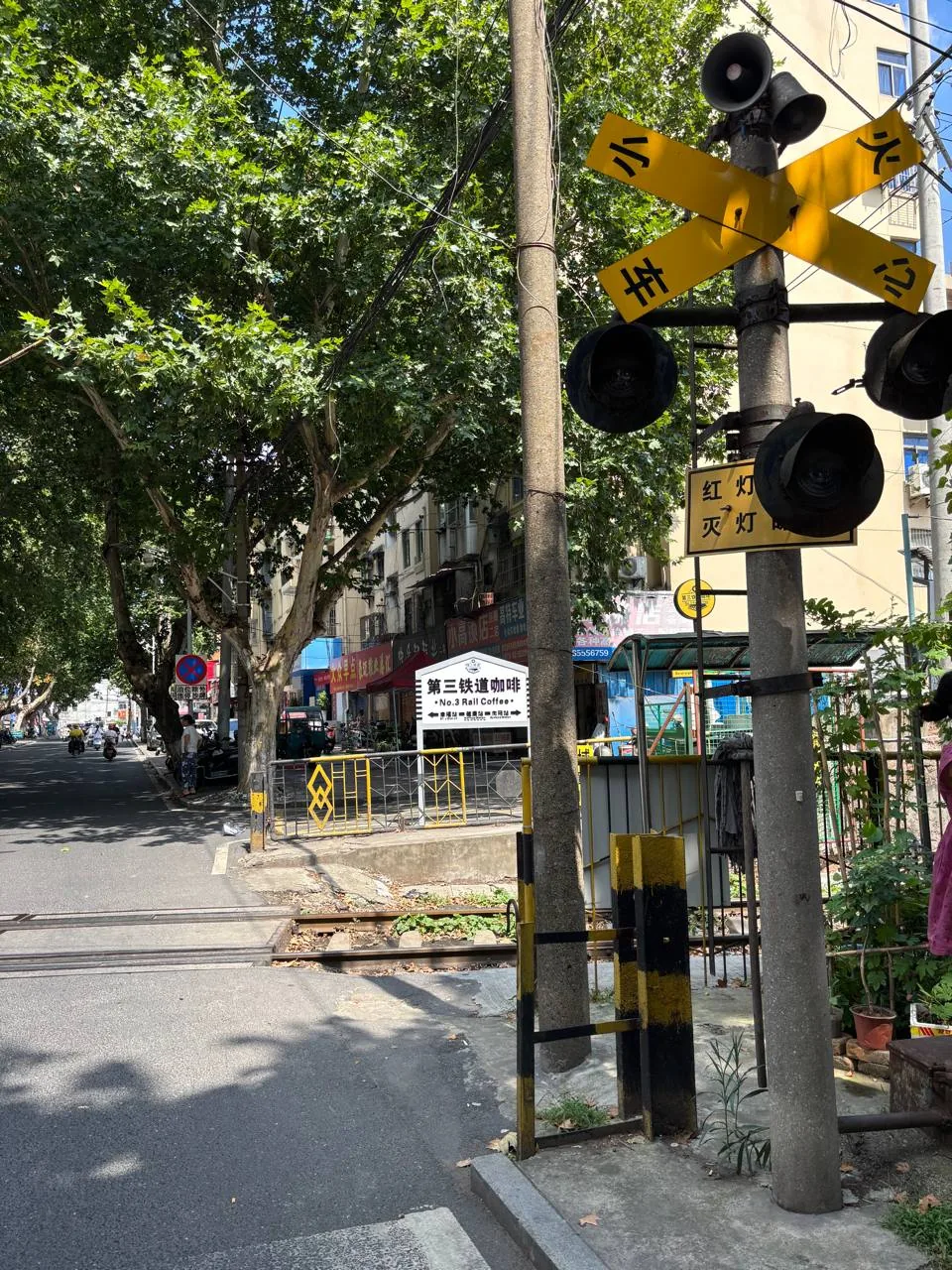 A railway crossing signal beside a tree-lined street.