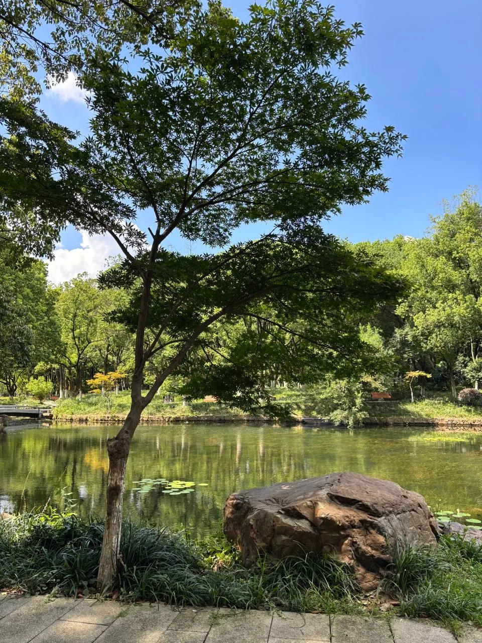 A shaded lakeside path with trees, rocks, and reflections on the water.
