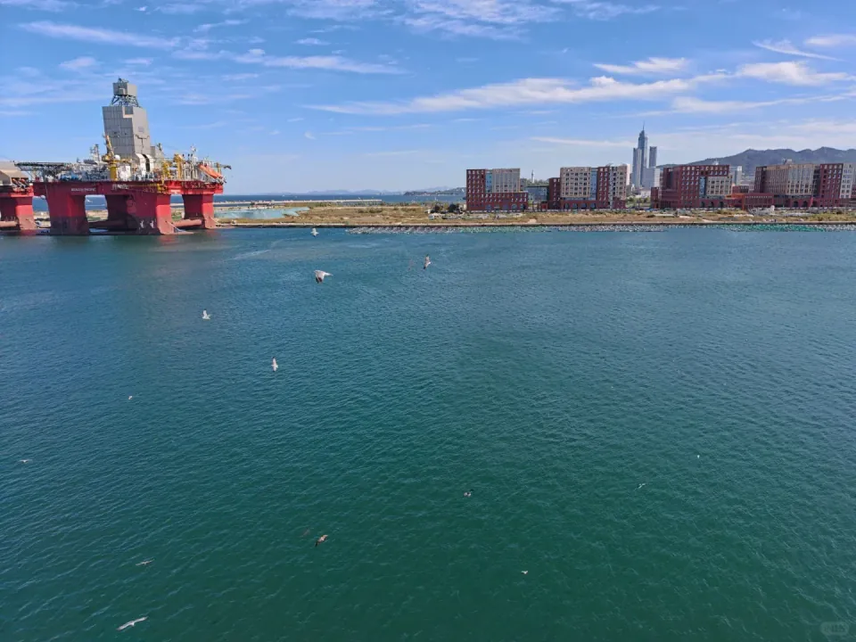 Seagulls over the harbor, with a red offshore platform near the waterfront.