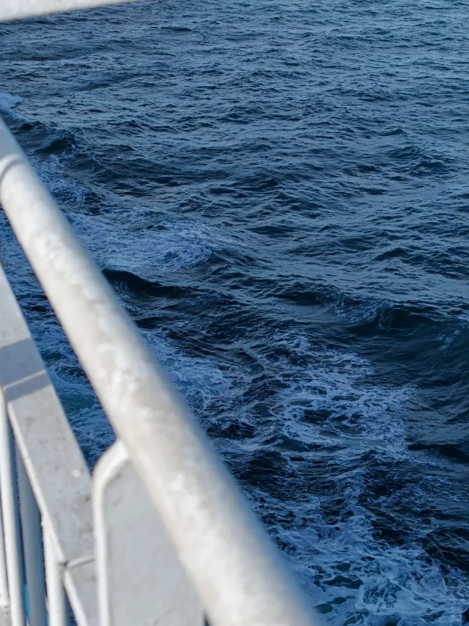 Dark blue waves passing alongside the ferry's white railing.